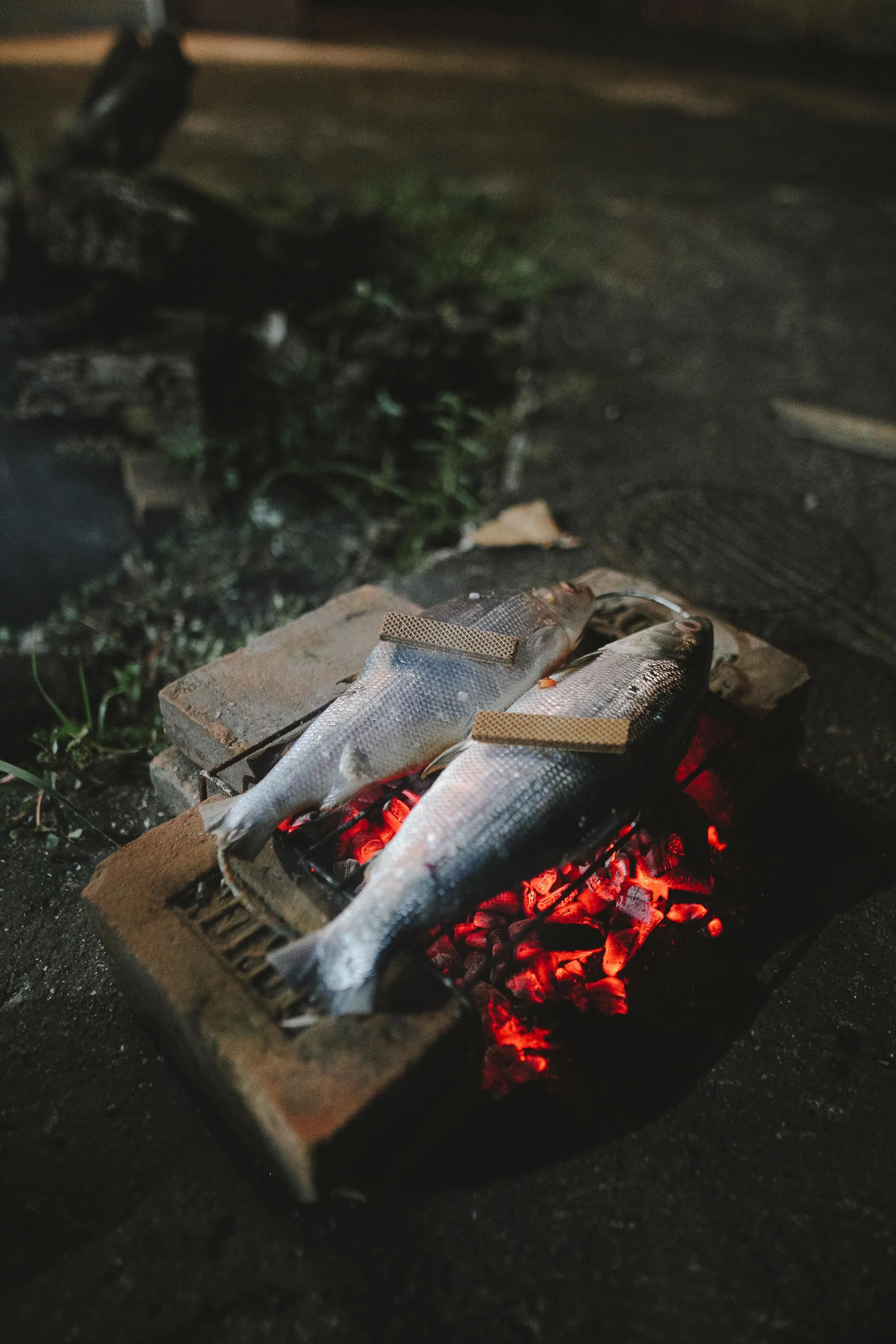 Pescado entero asándose sobre ascuas al aire libre